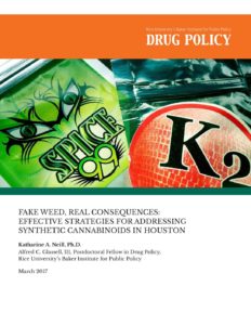 Fake Weed, Real Consequences: Effective Strategies for Addressing Synthetic  Cannabinoids in Houston