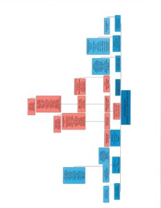 HRC Org chart October 2019 3